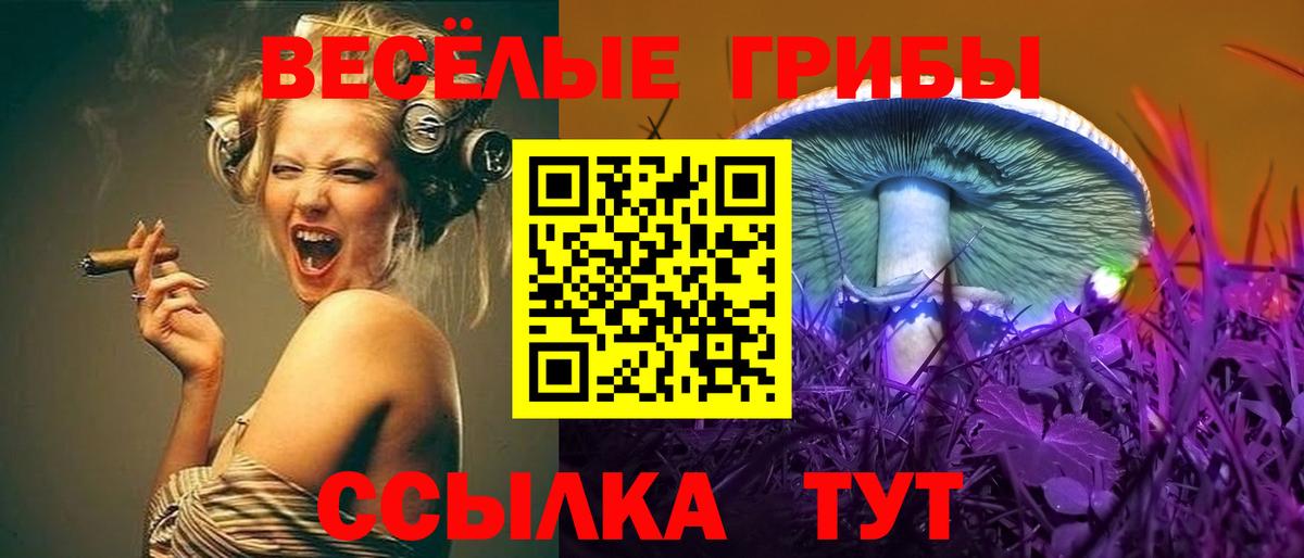 Псилоцибиновые грибы MAGIC MUSHROOMS Мирный